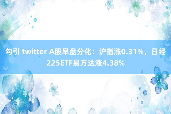 勾引 twitter A股早盘分化：沪指涨0.31%，日经225ETF易方达涨4.38%