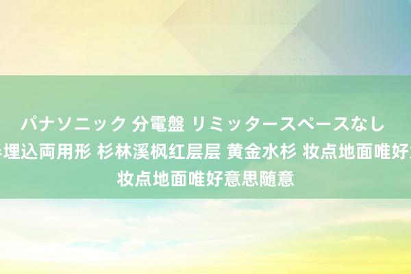 パナソニック 分電盤 リミッタースペースなし 露出・半埋込両用形 杉林溪枫红层层 黄金水杉 妆点地面唯好意思随意