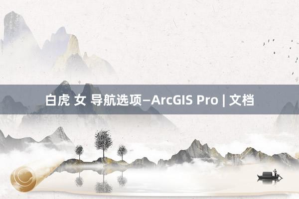 白虎 女 导航选项—ArcGIS Pro | 文档