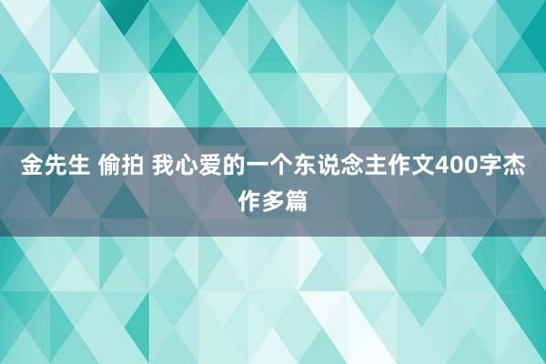 金先生 偷拍 我心爱的一个东说念主作文400字杰作多篇