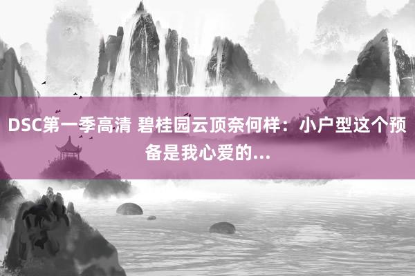 DSC第一季高清 碧桂园云顶奈何样：小户型这个预备是我心爱的...